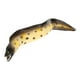 thumbnail image 5 of Figura realista de anguila marina, modelo de Animal falso, decoraciones de anguila marina de plástico Artificial, figura de anguila marina, 5 of 8