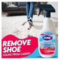 thumbnail image 2 of Gexandy Carpet Odor and Stain Remover Spray - Perfect Addition to Cleaning Supplies | All-Purpose Carpet Spot Cleaner| Citrus Scented Pet Stain Remover | Fast-Acting Carpet Cleaner (24 Fl Oz), 2 of 5