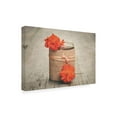 thumbnail image 2 of Philippe Sainte Laudy 'Cosmos Textured' Canvas Art, 2 of 3