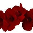 thumbnail image 6 of Nearly Natural Amaryllis Christmas Floral Garland, 60" (Red), 6 of 7