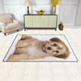 thumbnail image 3 of Coolnut Lightweight Non Slip Carpet Mats 60 x 39 inch (5'x 3'3"), Area Soft Rugs Floor Mat Rug Decoration for Kids Room Living Room Cute Havanese Puppy Dog, 3 of 6