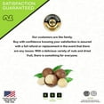 thumbnail image 3 of Raw Macadamia Nuts, Unsalted, Bulk Nuts Healthy Protein Food Snack, Natural, Vegan, Kosher (48oz - 3 lbs) By Nut Cravings, 3 of 8