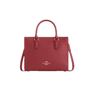 Coach Women's Dempsey Top Zip File Crossbody Bag in Signature