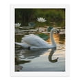 thumbnail image 5 of Paint By Numbers Kit for Adults Beginner - DIY Elegant Swan Serene Water Lilies Canvas Painting Kits for Adults, Frameless Paint By Number for Adults for Home Wall Decor 16x20 Inch, 5 of 7