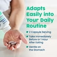 thumbnail image 6 of NativePath Complete Synbiotic, Pre, Pro and Postbiotic with Tributyrin, Gut Health, 60 Capsules, 6 of 8