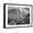 Black Frame, variant on Art.com Valley Snow Covered Mountains In Background In Glacier National Park Montana. 1933-1942 Stretched Canvas Print Wall Art by Ansel Adams, 16" x 12"