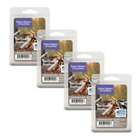 Birchwood Bonfire Scented Wax Melts, Better Homes & Gardens, 2.5 oz (4-Pack)