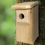 Eastern Bluebird House - Handcrafted in Maine from 1 Pine | Predator Guard Nest Box with Ventilation & Drainage | Easy Clean Side Panel | Insulated Wooden Birdhouse for Backyard Birding, USA Made