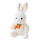 thumbnail image 1 of Muñeco de conejo de peluche, juguete de conejo decorativo, muñeco de conejo esponjoso, juguete de peluche, 1 of 5