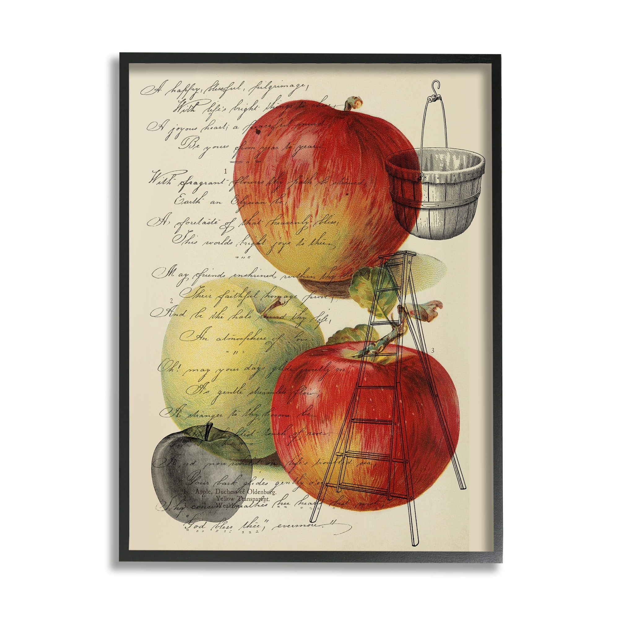 Stupell Industries Vintage Apple Picking Illustration Antique Text Passage Graphic Art Gray Framed Art Print Wall Art, 16x20, by Daphne Polselli