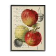 thumbnail image 2 of Stupell Industries Vintage Apple Picking Illustration Antique Text Passage Graphic Art Gray Framed Art Print Wall Art, 24x30, by Daphne Polselli, 2 of 5