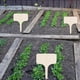 thumbnail image 3 of Las Etiquetas de la Planta Horticultural Creativa de Madera Pueden Escribir 10Pcs para la Inserción a Tierra, 3 of 7