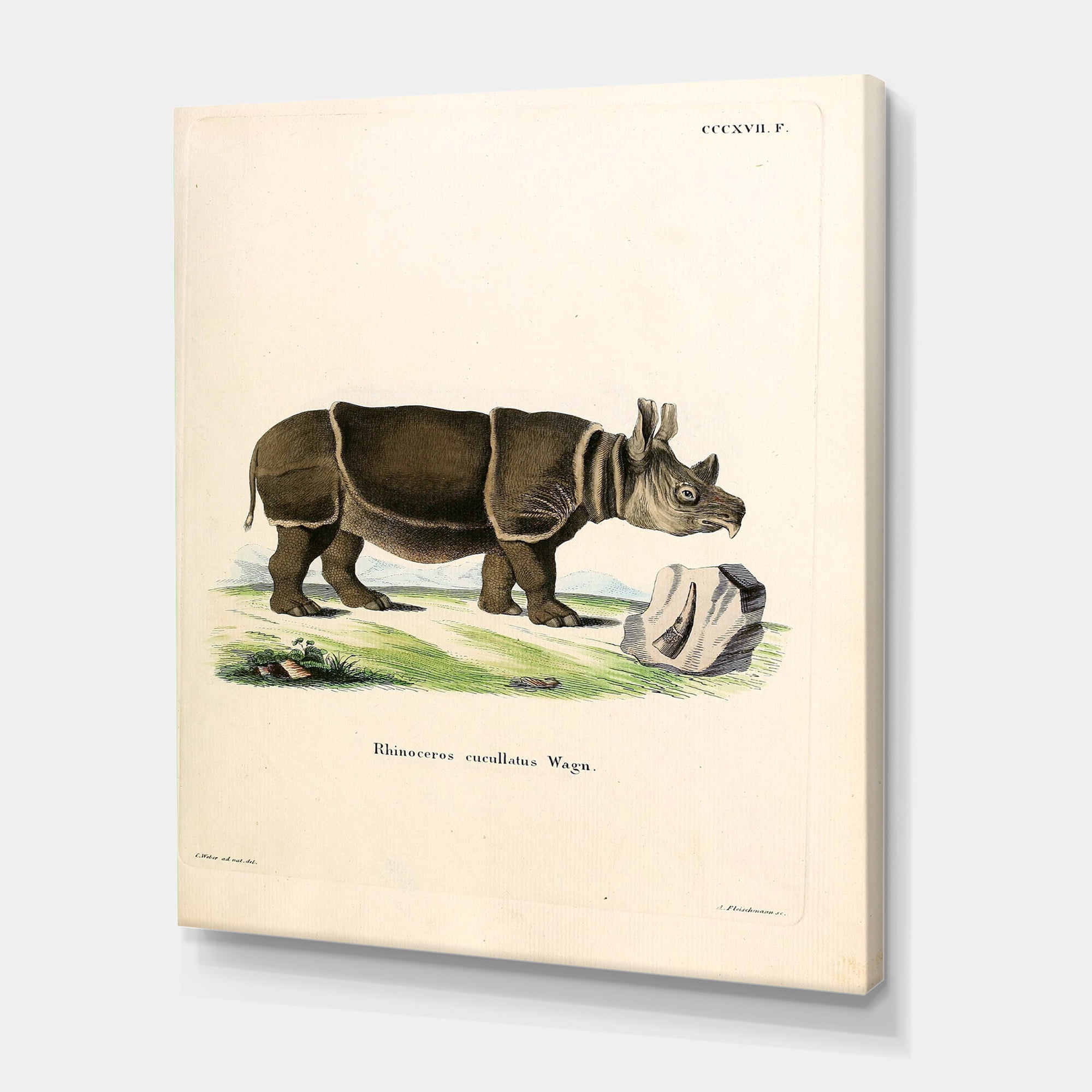 Designart ' Ancient Rhinoceros ' Farmhouse Canvas Wall Art Print