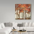 thumbnail image 3 of Trademark Fine Art 'October Woods Light' Canvas Art by Julia Purinton, 3 of 3