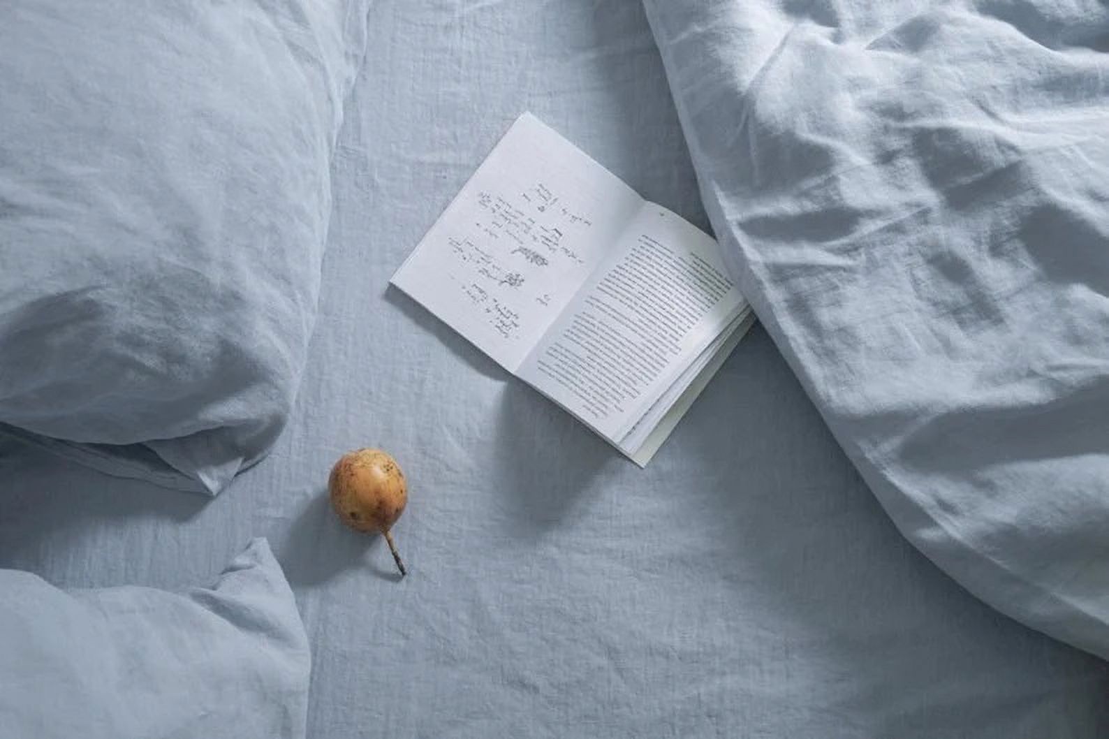 Pavish Export Sky blue linen duvet cover 1 duvet cover Softened linen Light blue comforter cover Quilt cover Coconut buttons Twin