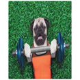 thumbnail image 2 of Juego de ropa de cama de 3 piezas ABPHQTO Funda de edredón Pug Dog hierba verde con 2 fundas de almohada, 2 of 4