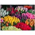 thumbnail image 1 of Flowers Ceramic Tile Mural Kitchen Backsplash Bathroom Shower 402362-M43, 1 of 3
