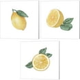 thumbnail image 1 of Great Art Now Citrus Limon by Bannarot 3 Piece Canvas Art Set Each 14W x 14H, 1 of 4