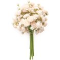 thumbnail image 1 of 12 Narcisos Miniatura Champán Artificiales - Ramos Crema DIY, Centros de Mesa, Decoraciones for Bodas, Decoración de Mesas de Temporada | Decoraciones Exquisitas | Pétalos Delicados, 1 of 2