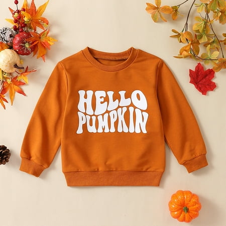 

Yiwula Kids Toddler Baby Girls Print Spring Autumn Long Sleeve Hoodie Clothes