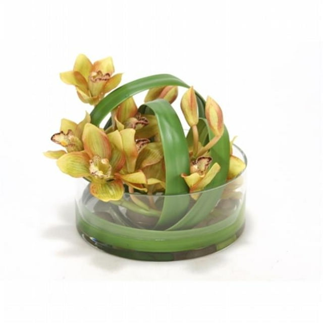 Distinctive Designs International 15930 Green Cymbidium Orchids in Clear Glass Vase