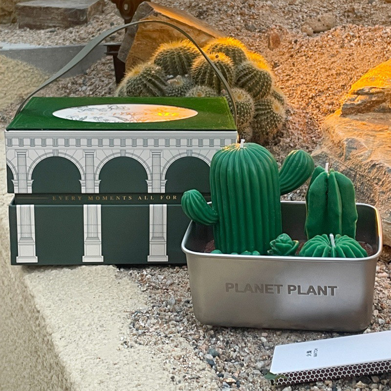 Realistic Cactus Scented Candle Gift with 4 Wick Design in Metal Base – Decorative Green Succulent Candle with Sand-Like Detail in Gift Box – Perfect for Holidays, Birthdays, Anniversaries & More