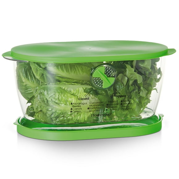 Contenedor de almacenamiento Progressive Lettuce Keeper, 4,7 L