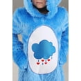 thumbnail image 3 of Care Bears Toddler Classic Grumpy Bear Costume, 3 of 8