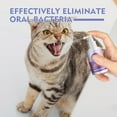 thumbnail image 6 of Yegbong 2pc Dog and Cat Teeth Cleaning Spray Pet Oral Cleaning Breath Freshening Deodorizing Cleaning Spray, 6 of 7