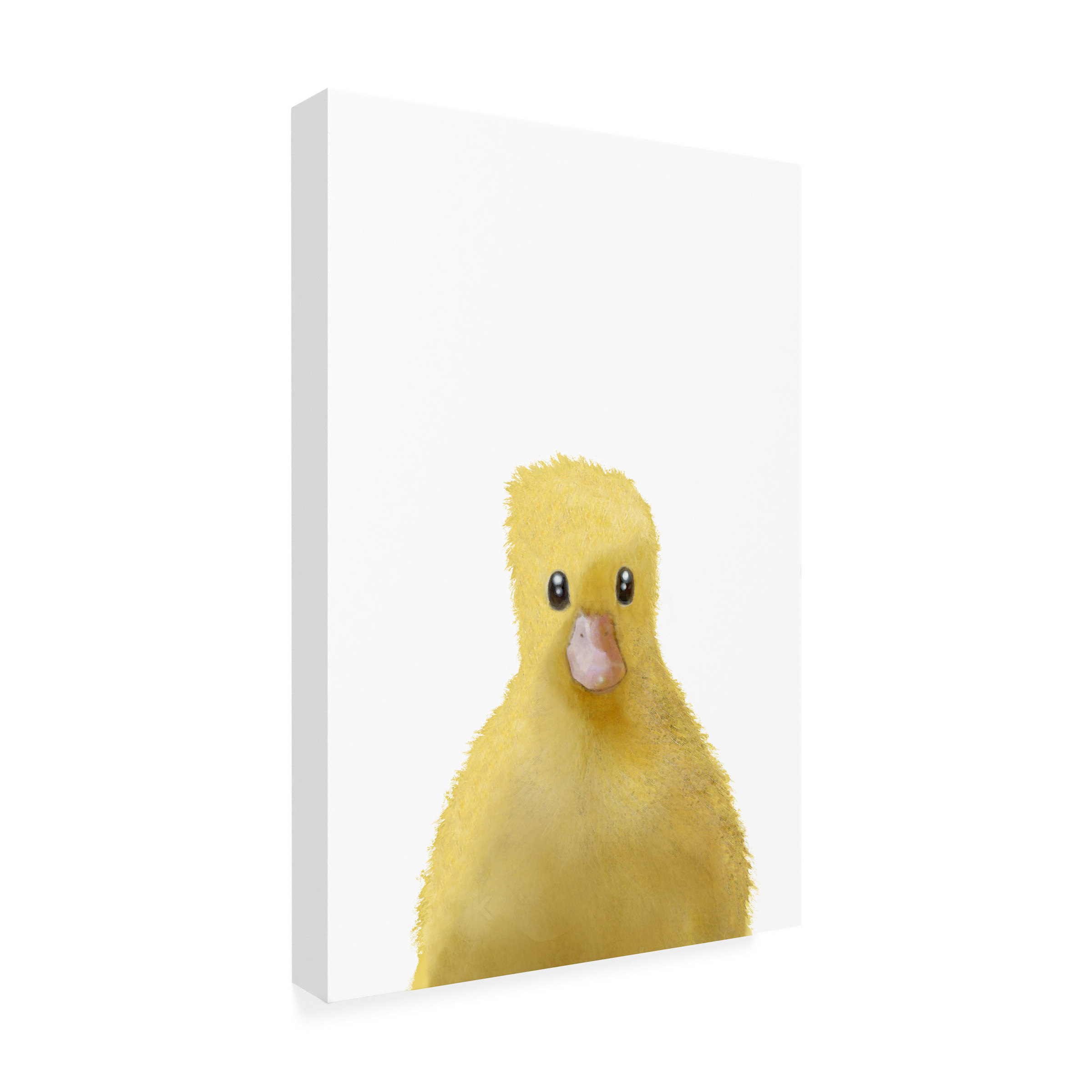 Trademark Fine Art Pictufy Studio Duck Canvas Wall Art