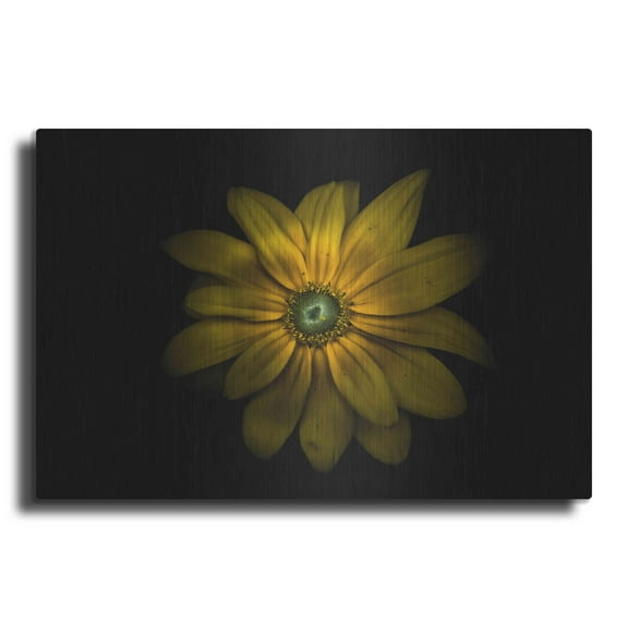 Luxe Metal Art 'Backyard Flowers 34 Color Version' by Brian Carson, Metal Wall Art, 24"x16"