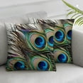 thumbnail image 3 of PIKWEEK Peacock Pattern Peacock Feather Throw Pillow Cover, Set of 2 Short Plush Material Sofa Throw Pillow Covers, Car Throw Pillow Covers, Multiple Specifications, 3 of 7