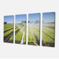 thumbnail image 2 of Beautiful View of Crops Watering - Landscape Canvas Art Print, 2 of 3