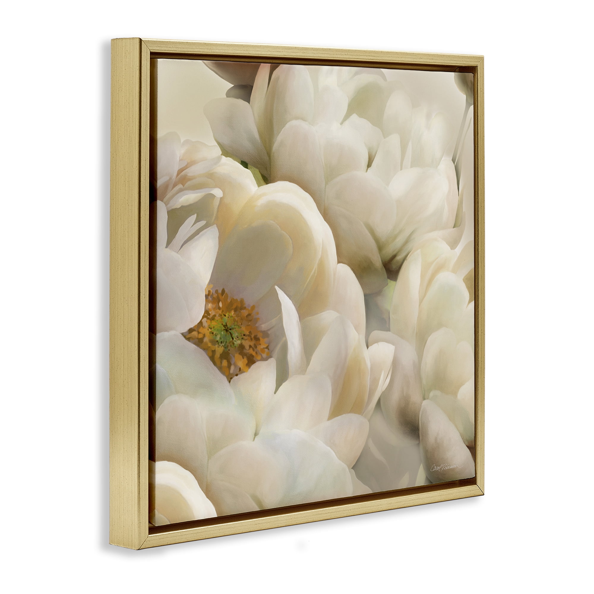 Stupell Industries Ivory Magnolia Petals Plants & Flowers Photography Gold Floater Framed Canvas Art Print Wall Art, 25 x 25