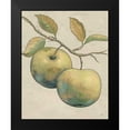 thumbnail image 2 of Brissonnet, Daphne 15x18 Black Modern Framed Museum Art Print Titled - Lovely Fruits II Neutral Plain, 2 of 5