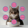 thumbnail image 5 of Blackwood Dry Adult Cat Food Chicken Meal & Brown Rice 13.2 lb., 5 of 7