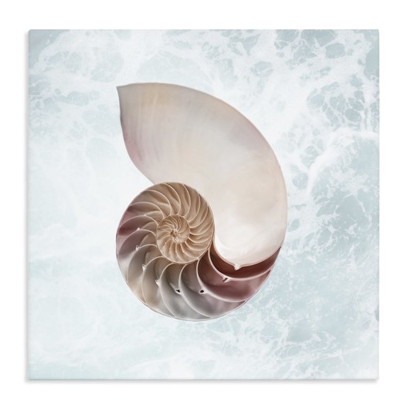 Stupell Industries Contemporary Aquatic Nautilus Spiral Seashell Canvas Art, 30 x 30, by Marcus Prime