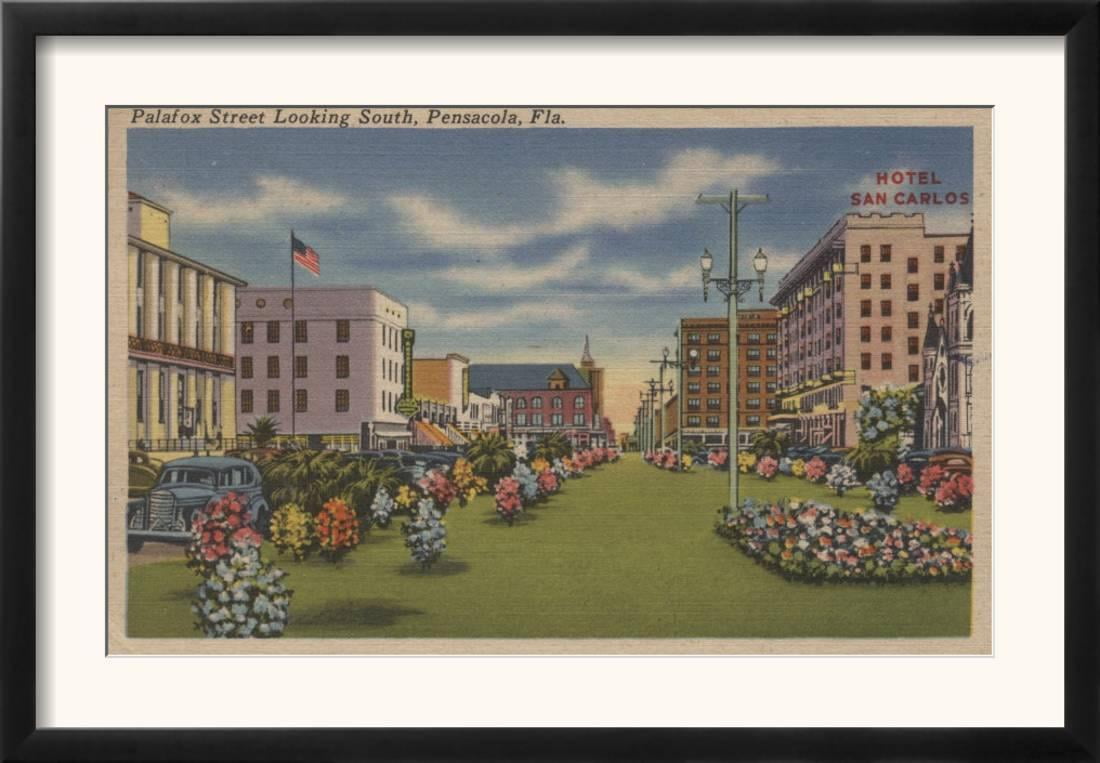 Pensacola Fl South View Of Palafox St Flowers Framed Art Print Wall Art 18 5x13 Walmart Com Walmart Com