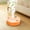 Orange, variant on Emdiqzs Portable Humidifier, Home Essentials Air Care Mini Mobile Humidifier, USB Humidifier for Home Office, White, Orange, Black