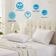 thumbnail image 5 of Juego de 2 almohadas Puredown Queen, 51 x 76 cm, 90% plumas de ganso, 5 of 6