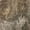 Taupe, variant on Addison Rugs Dream Shag Premium Machine Washable Transitional Floral Beige Rectangle Rug, 10' x 14'