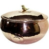 Copper Garden Hose Hider