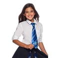 thumbnail image 2 of The Wizarding World Of Harry Potter Ravenclaw Tie, 2 of 2