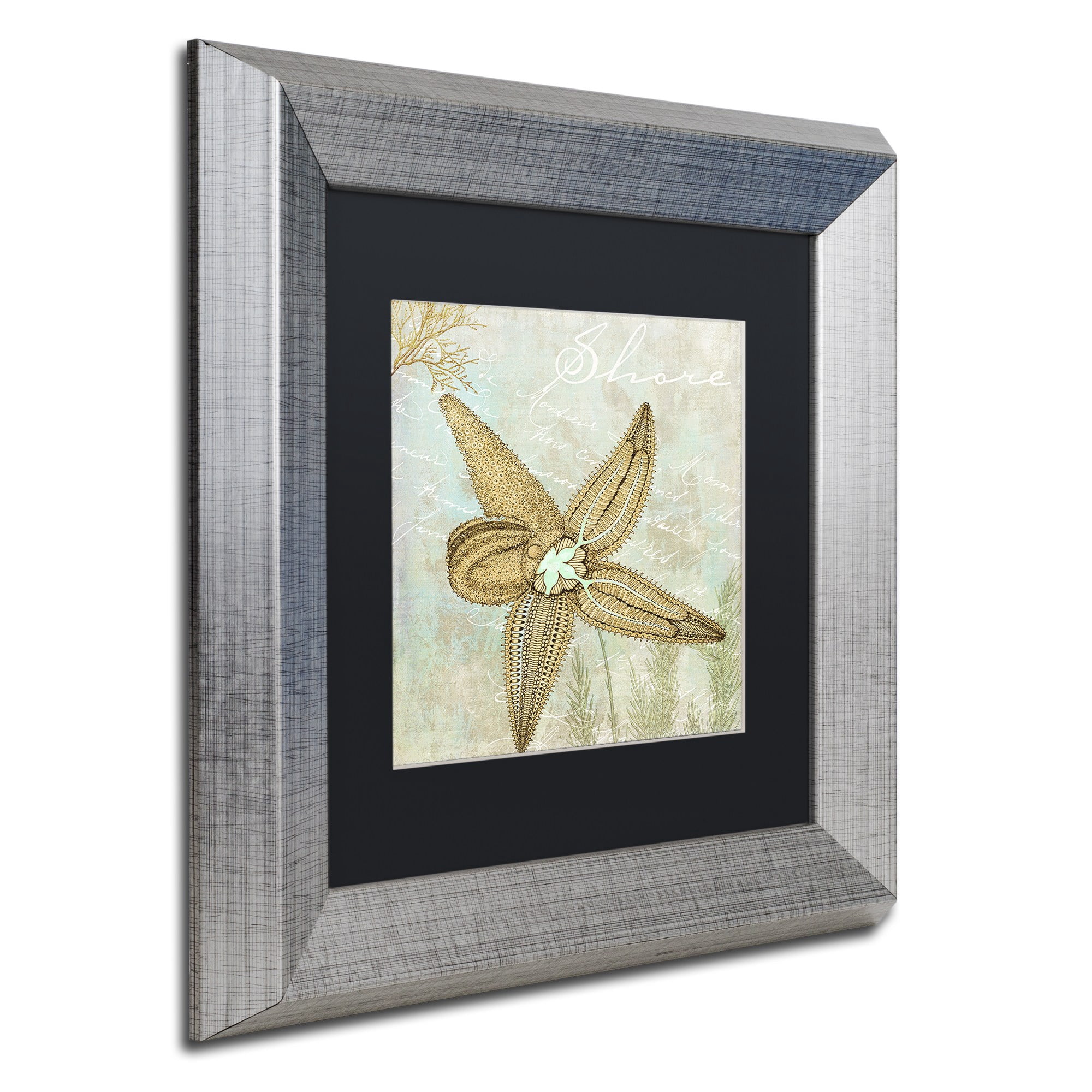 Trademark Fine Art "Turquoise Beach V" Canvas Art by Color Bakery Black Matte, Silver Frame