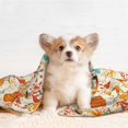 thumbnail image 4 of Pofeuu Pumpkin Fall Pears Print Puppy Blanket,Dog Blankets,Pet Blanket Cozy Cat Blankets for Indoor Cats, Fuzzy Pet Blanket for Kitten Doggy Dog Blankets-Small, 4 of 8