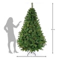 thumbnail image 3 of Árbol de Navidad Naviplastic California color Verde de 220 cm, 3 of 3
