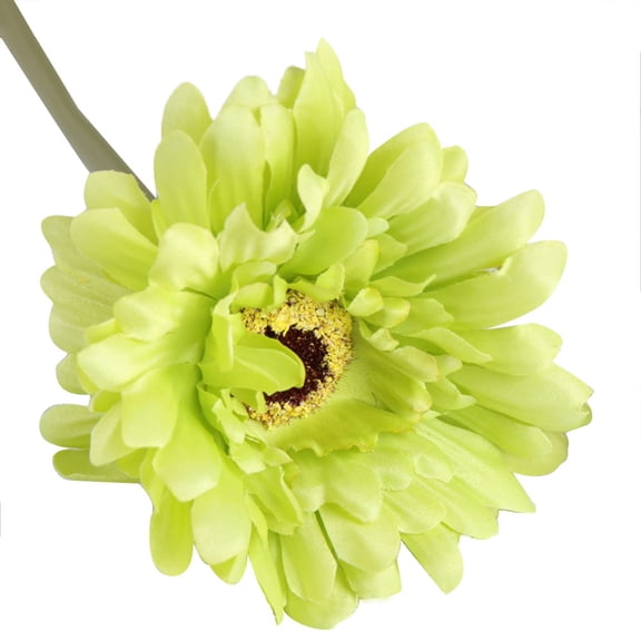 COSMOBETTY Flower Decoration 10Pcs Green Artificial Flower Bouquet Realistic Fake Flowers for Indoor Use