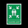 thumbnail image 1 of Shisuyan Self Adhesive Assembly Sign Light Green 5Set 11.8X8.3X0.04In, 1 of 8
