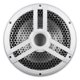 thumbnail image 2 of Subwoofer marino Skar Audio SKM10WD2 de 10" y 1000 W, blanco, 2 of 7