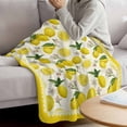 thumbnail image 3 of Yellow Summer Lemon Blanket Soft Cozy Warm Throw Blanket for Couch, Plush Fuzzy Flannel Fleece Blankets for Sofa, Summer Botanical Watercolor Bed Blankets Lightweight Gifts for Women, 30"x40", 3 of 9